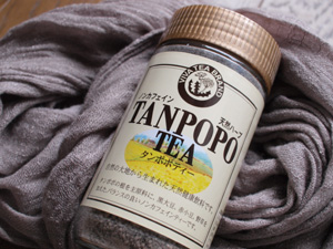 tanpopo.JPG